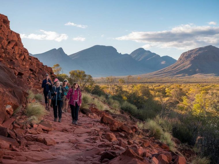 trekking sur la piste larapinta, australie