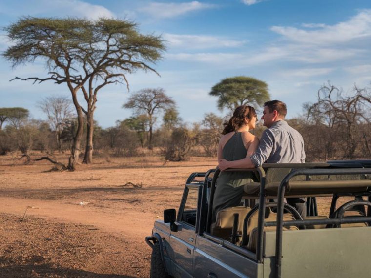 safari au botswana : une expérience de voyage de noces unique