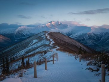 trek dans le parc national de denali, alaska